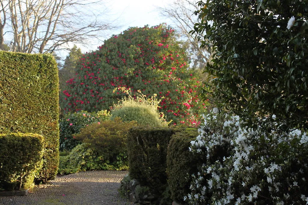 Quinta Das Faias Guest House Camacha  Camacha (Madeira)