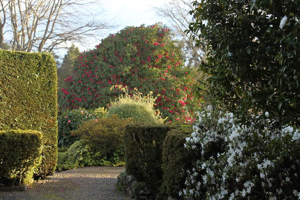Quinta Das Faias Camacha  Camacha (Madeira)