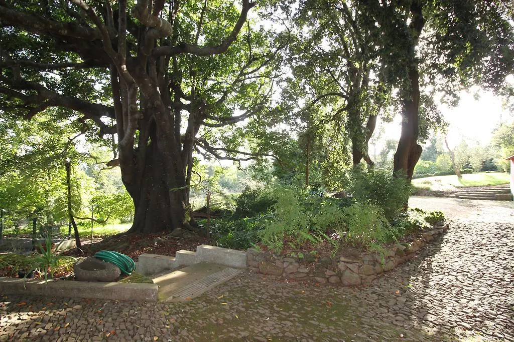 Casa di campagna Quinta Das Faias Camacha