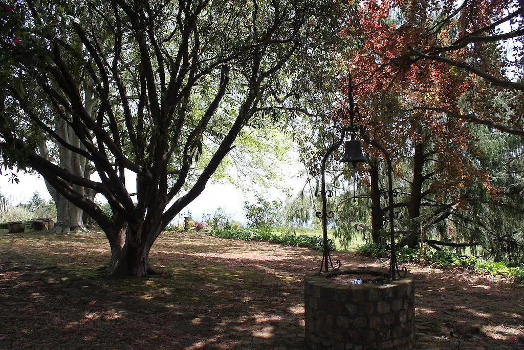 Casa di campagna Quinta Das Faias Camacha