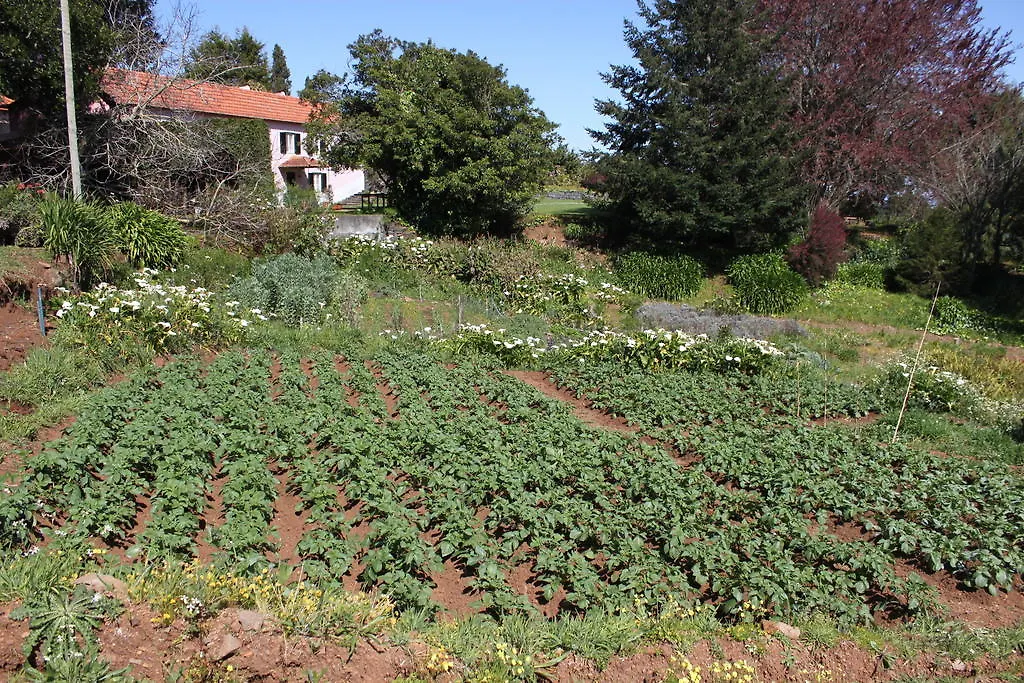 Casa di campagna Quinta Das Faias Camacha